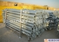 High Loading Capacity Scaffolding Steel Prop Q235 Steel Pipe Zinc Plated Surface